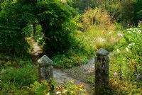 Stone gate posts framed with ferns and Hypericum with grass garden including Stipa gigantea and Wisteria on arch beyond - Pinsla Garden, Cardinham, Cornwall