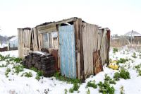 Weathered allotment shed, Norfolk