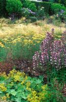 Country garden with colourful planting of Acanthus hungaricus - Bear's Breeches, Heuchera sanguinea - Coral Bells, Alchemilla mollis - Lady's Mantle, Achillea Terracotta - Yarrow, Stipa tenuissima - Spear Grass. Dennis Schrader and Bill Smith's Garden, Long Island, New York, USA. July