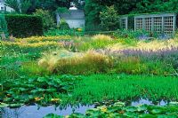 Water garden with Nepeta, Achillea 'Terracotta', Salvia and Hippuris vulgaris - Marestail. Dennis Schrader and Bill Smith's Garden, Long Island, New York, USA,  July