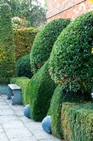 Stone path with low Buxus - Box hedge and standard Pyracanthus. Silverstone Farm, Norfolk, October