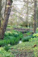 View along the stream to the woodland garden. Sharcott Manor, Wiltshire 