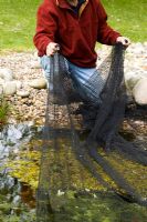 Covering a pond with netting