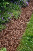 Pathway with cocoa shells