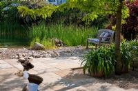 A meandering canal runs through a flagstone paved area leading to a natural swimming pool that is formed with pebbles and  gravel and a wooden bench. Planting includes Agapanthus, Cotinus coggygria 'Royal Purple', Gleditsia triacanthos 'Sunburst', Ranunculus lingua and Scirpus 