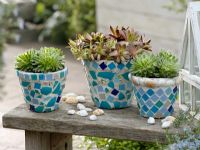 The finished pots decorated with mosaic pieces