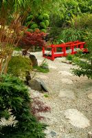 Bright red Nikko bridge in the Japanese garden with gravel mulch and trees and shrubs including cloud pruned conifer, miscanthus, acer and indigofera. The Croft, Yarnscombe, Devon, UK