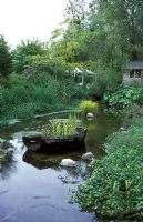 Natural Water Garden - Nine Spring's House