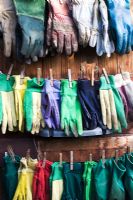 collection of gardening gloves pegged in neat lines on door of garden shed