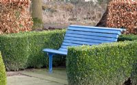 Blue bench surounded by Buxus hedges. Snowdrop festival at nursery Boschehoeve.