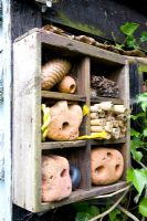 Found natural objects in wooden box - Helen Riches' Garden, Essex 
