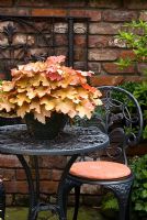 Potted Heuchera 'Creme Brulee' on circular cast iron patio table by wall made of reclaimed red brick. Brocklebank Road, Southport, Lancashire NGS
