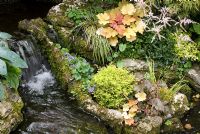 Waterfall with reclaimed Westmorland stone with mixed planting including Heuchera, Astilbe and Campanula - Brocklebank Road, Southport, Lancashire NGS
