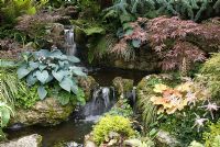 Waterfall made from reclaimed Westmorland stone with mixed planting of Acer, Hosta 'Halcyon', Astilbe, Heuchera, conifers and ferns - Brocklebank Road, Southport, Lancashire NGS
