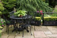 Cast iron decorative table and chairs with Hosta lancifolia on stone slab patio, Magnolia stellata and Cedrus deodara behind - Brocklebank Road, Southport, Lancashire NGS