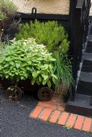 Herb cart at back door - Brocklebank Road, Southport, Lancashire NGS