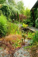 Stone edged pond with ferns, grasses and Cercis canadensis 'Forest Pansy' visible beyond - Bertie's Cottage Garden, Yeoford, Crediton, Devon