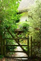 Shrubs frame the gate into the garden with path leading to front door - Bertie's Cottage Garden, Yeoford, Crediton, Devon