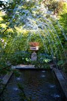Pool with fountain jets, Hostas and Parthenocissus - Collier Garden
