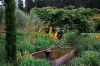 Rectangular pond surrounded by Eremurus shelford hybrid 'Cup Totem', Geum 'Mrs Bradshaw', Stipa gigantea, Sedum 'Ruby Glow', Sedum 'Autumn Joy', Cupressus sempervirens 'Gracilis', Stipa gigantea and Cherry - Briar Dell
