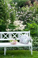 White wooden bench with basket of roses and cushions, backed with Hosta undulata 'Univittata', Stachys byzantina 'Silver Carpet', Aruncus sylvestris, Rosa 'Constanze Spry', Rosa 'Paul's Himalayan Musk'