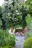 Seating area on terrace, planting of Clematis viticella 'Prinz Charles', Rambling Rosa 'Seagull', Salvia sclarea 'Alba', Buxus sempervirens, Miscanthus sinensis 'Morning Light'