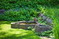Backed by a hornbeam hedge and a stone wall overgrown with ferns, a stone frog ornament sits on edge of raised basin. Other planting includes Carpinus betulus, Dryopteris and Fragaria vesca - The Manor House, Germany