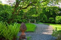 A gravel path winds towards a stone bench beneath box topiary, a terracotta cone sets an accent, other planting includes Buxus, Helleborus foetidus, Hydrangea arborescens and Syringa vulgaris - The Manor House, Germany
