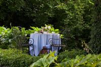 A white clothed table with iron garden chairs surrounded by planting of Hedera helix, Hosta, Lilium martagon, Pachysandra terminalis, Philadelphus and Rodgersia podophylla. The Manor House, Germany