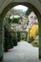 View through arch at Caerhays Castle, Cornwall, UK
