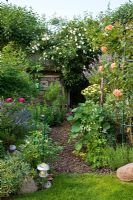 A rose arching over a mulched pathway leading towards an insect hotel in an allotment garden in Berlin. Rosa 'New Dawn', Rosa 'Westerland', Aloysia triphylla, Aquilegia, Argyranthemum frutescens, Nepeta Faassenii and Perovskia