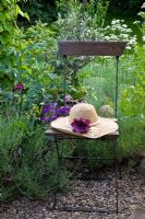 Straw hat on an old garden chair, planting of Lavandula angustifolia, Olea europaea and Verbena rigida