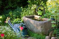 Stone trough with metal watering cans and planting of Macleaya, Rodgersia and Tanacetum parthenium 