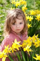 Young girl in pink dress sitting amongst Daffodils