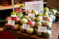 Packs of fruit for sale in visitors centre including Malus 'Wealthy'. Brogdale Farm and National Collection, Kent