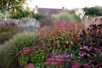 View of farm house through extensive autumn perennial borders with Eupatorium, Perovskia, Aster, Echinacea and Sedum 'Autumn Joy' - Lady Farm, Somerset