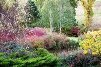 Display of autumn colour surrounding landscaped lake -   Lady Farm, Somerset