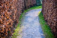 Gravel path between double Fagus - Beech hedging