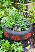 Herbs growing in old tyres with stencilled patterns. Lavandula stoechas - French Lavender, Salvia - Sage, Petroselinum - Parsley and Basil with Runner Beans behind