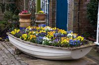 Primroses and pansies planted in an old rowing boat 