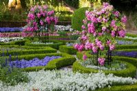 Trained roses in box edged borders, Alyssum, Antirrhinum, Begonia semperflorens, Buxus, Heliotropium, Impatiens, Nemesia, and Salvia farinacea - Weihenstephan Gardens