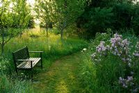 Meadow area with seat and lilac - Ivy Croft, Leominster, Herefordshire, UK