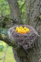 Artificial birds in nest in tree 