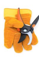 Secateurs and gardening gloves 