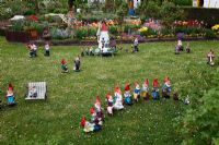 Allotment with garden gnomes