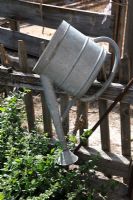 Zinc watering can hanging on wooden fence