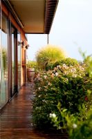 Terrace in Ferrara with container planting and modern decking 