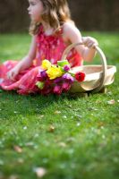 Girl sitting on a lawn wearing a summer dress with a trug of Tulips