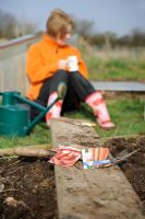Having a tea break, woman gardener drinking a cup of tea in between sowing vegetable seeds on allotment, Norfolk, UK, April
