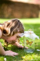 Five year old girl looking at a captive butterfly in a jam jar on a lawn